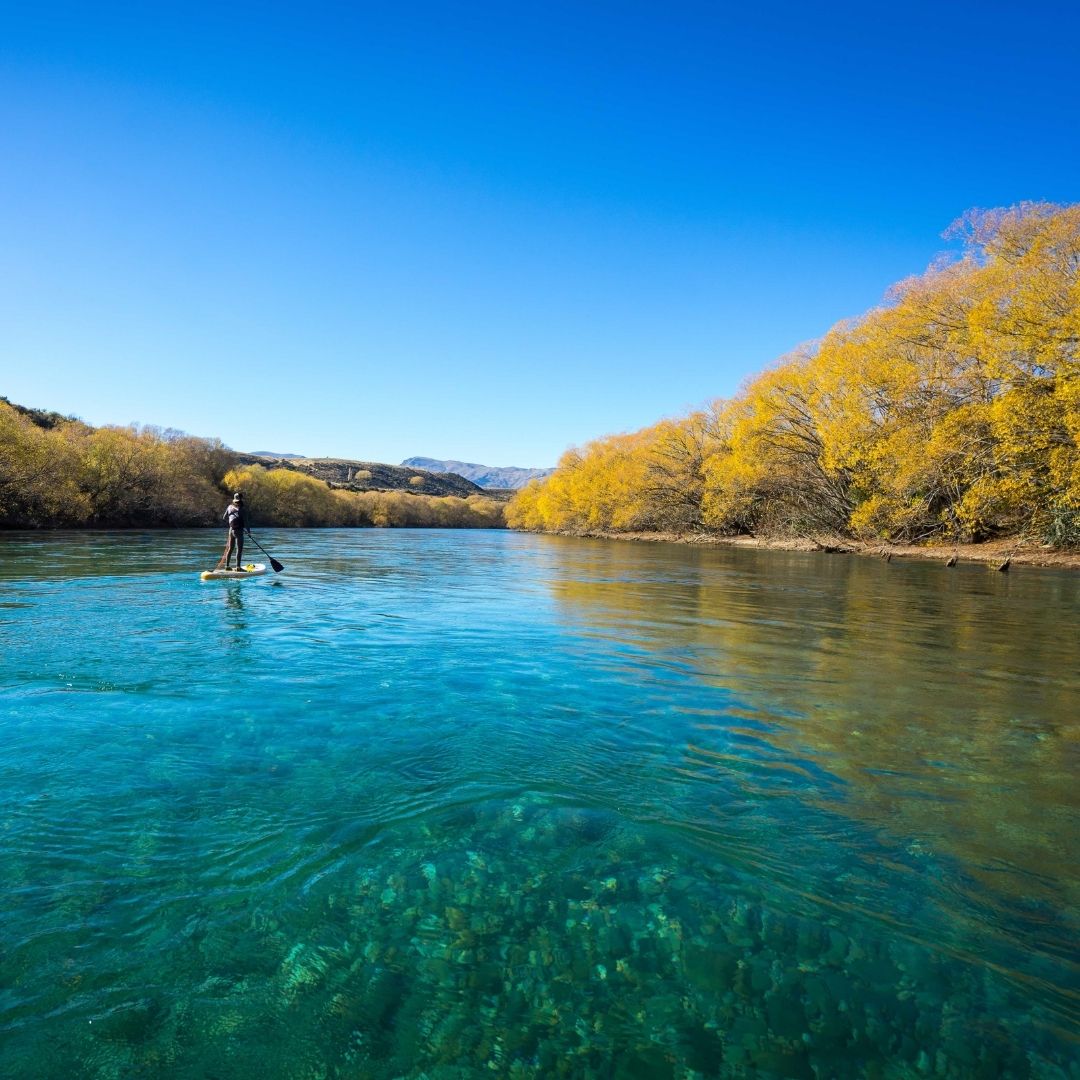 How our courier bags can feed your garden......