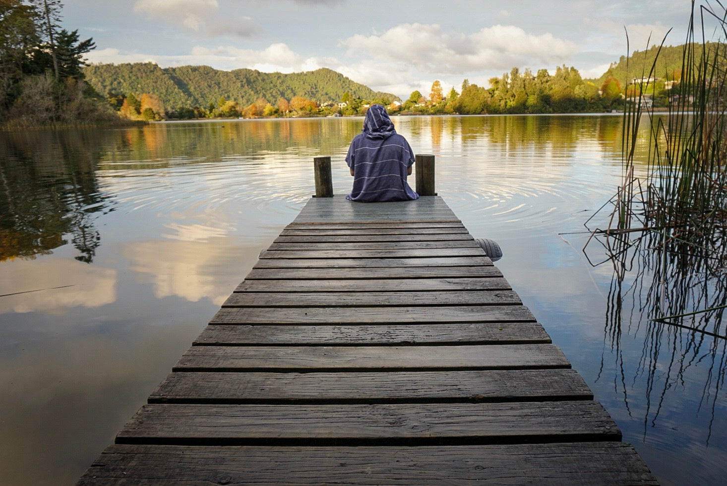 PLASTIC FREE JULY? OR MINIMISE WASTE EVERYDAY? - My alternatives to help reduce waste and keep our landscapes beautiful!