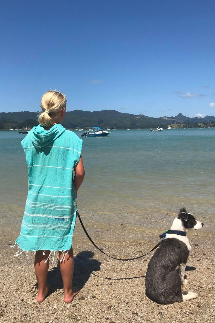  HOODED BEACH TOWELS